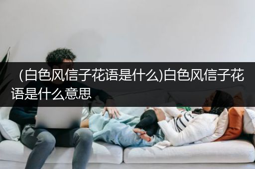 （白色风信子花语是什么)白色风信子花语是什么意思